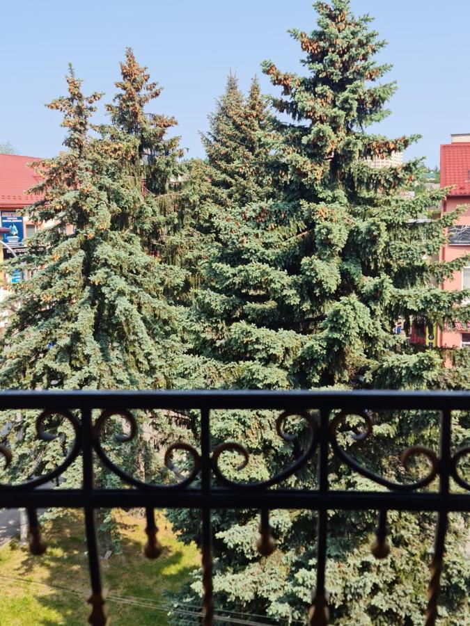 Hotel Villa Sofia Truskavets Buitenkant foto