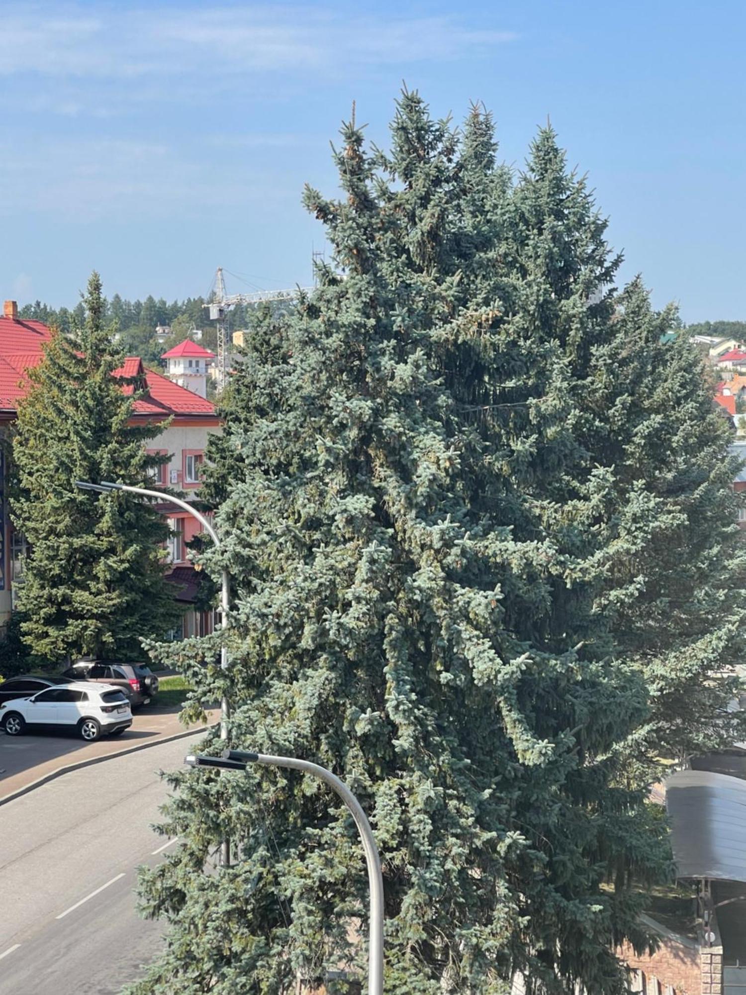 Hotel Villa Sofia Truskavets Buitenkant foto